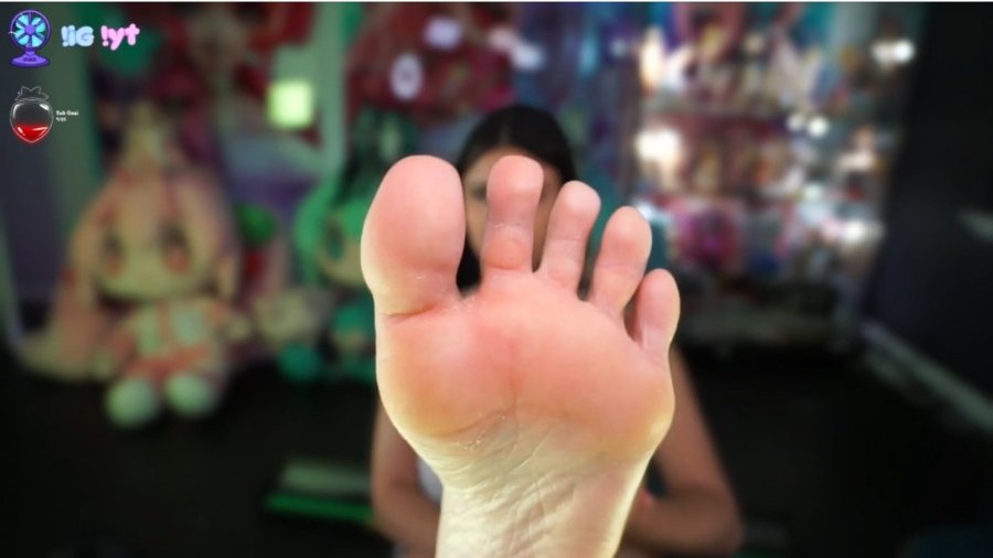 13048.jpg