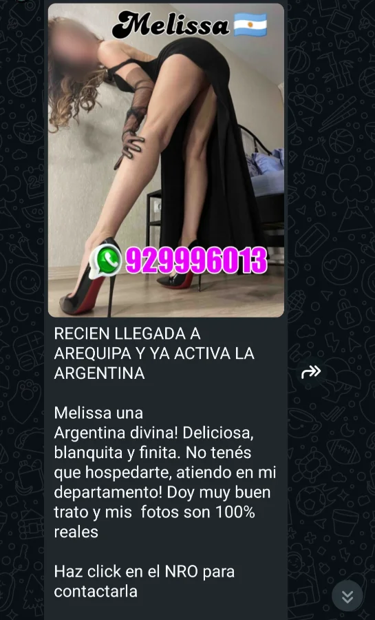 Screenshot_20250727_115547_WhatsApp.webp