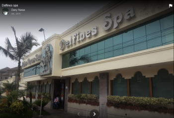 delfines spa.png