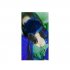 7E5EE5F6-5D23-44D0-A2D3-92ED73D454A9.jpeg