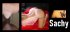 Sachy.jpg