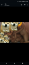 Screenshot_20220826-165908.png