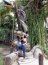 974FD5E6-338C-4B90-B9F7-90F5CFB6C157.jpeg