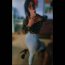 70DF17D4-89A2-44B4-9776-BC0D89BA45E0.jpeg