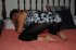 DSC_0166.JPG