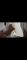 Screenshot_20221020-121852.png