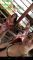 Screenshot_2019-01-09-15-19-11.png