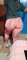 Screenshot_20221126-105715_Gallery.jpg