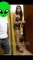 naty.snapshot_00.03.764.jpg