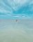 unknown_184761235_305527597793484_1773285047275532189_n.jpg