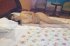noemi-escort-2.jpg