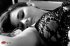 FB_IMG_1538991279830.jpg