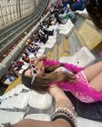 IMG_4270.jpeg
