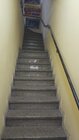 IMG-20230727-WA0001.jpg