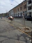 IMG_20230729_124449.jpg