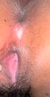IMG_9554.jpeg
