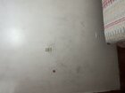 IMG_3231.jpeg