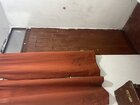 IMG_3230.jpeg
