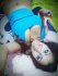 flirt oo1 752 positiva bed buscame boobs.jpg