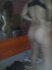 CAM00027.jpg