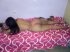IMG-20181129-WA0000.jpg