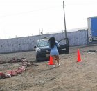 IMG_20240312_150100.jpg