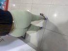 IMG_6895.jpeg