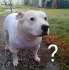 2957C2C3-B8B1-4C09-A68C-61505F4E30EF.jpeg