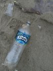 IMG_20240907_093713.jpg