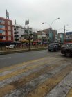 IMG_20240928_141829_100.jpg