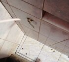 IMG_20170730_195047.jpg