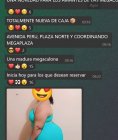 megaQlona.jpg