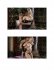 alexis texas_pages-to-jpg-0002.jpg