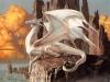 jcdragon20