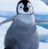 pingüinito