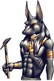 Chacal22
