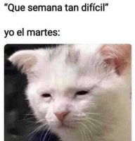 El verdugo encantador