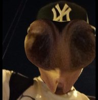 Daniwlhdmala0