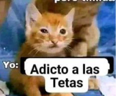 Adicto a las tetas 69