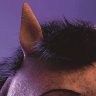 Bojack