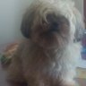 Fredy56