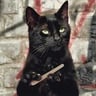 gatito999