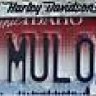 EL MULO
