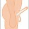 BRAZO DE BEBITO