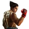 Kazuya_wins