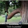 sololapuntita