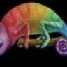 Ccamaleon