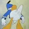 elricoso