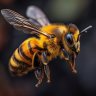LA ABEJA