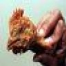 Thechinopp